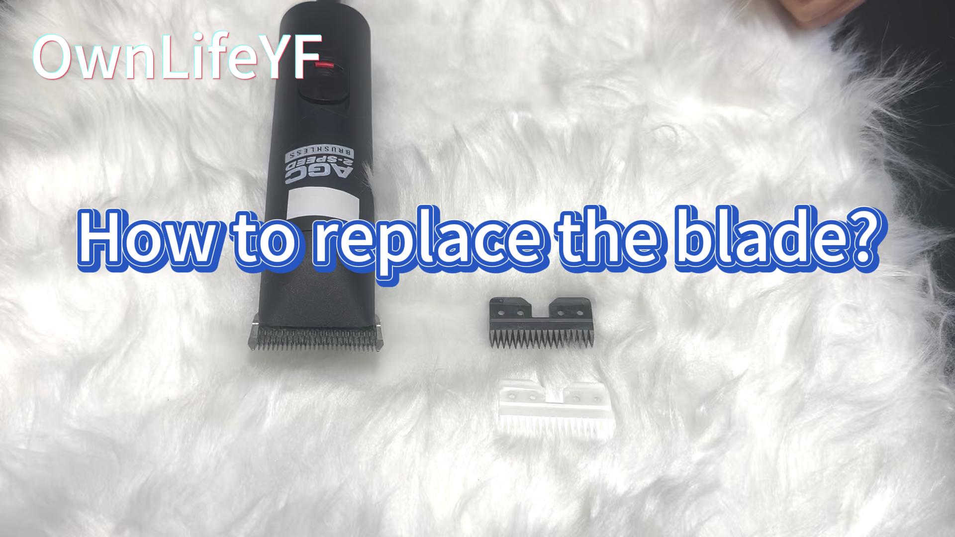 Amazon.com: 18 Teeth Ceramic Blade Compatible with Oster Fast Feed